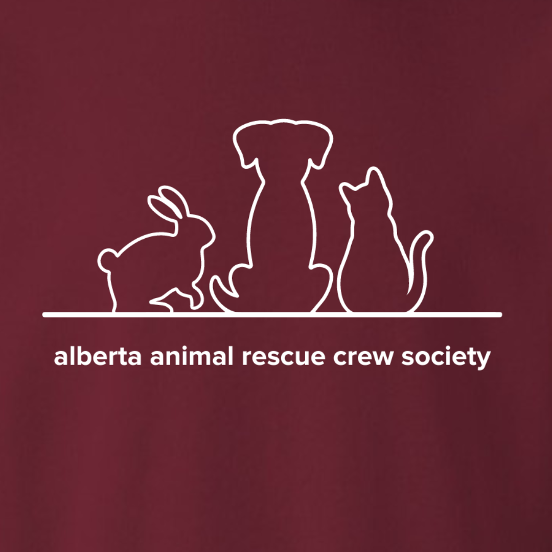 Animal Friends Crewneck Sweatshirt – AARCS