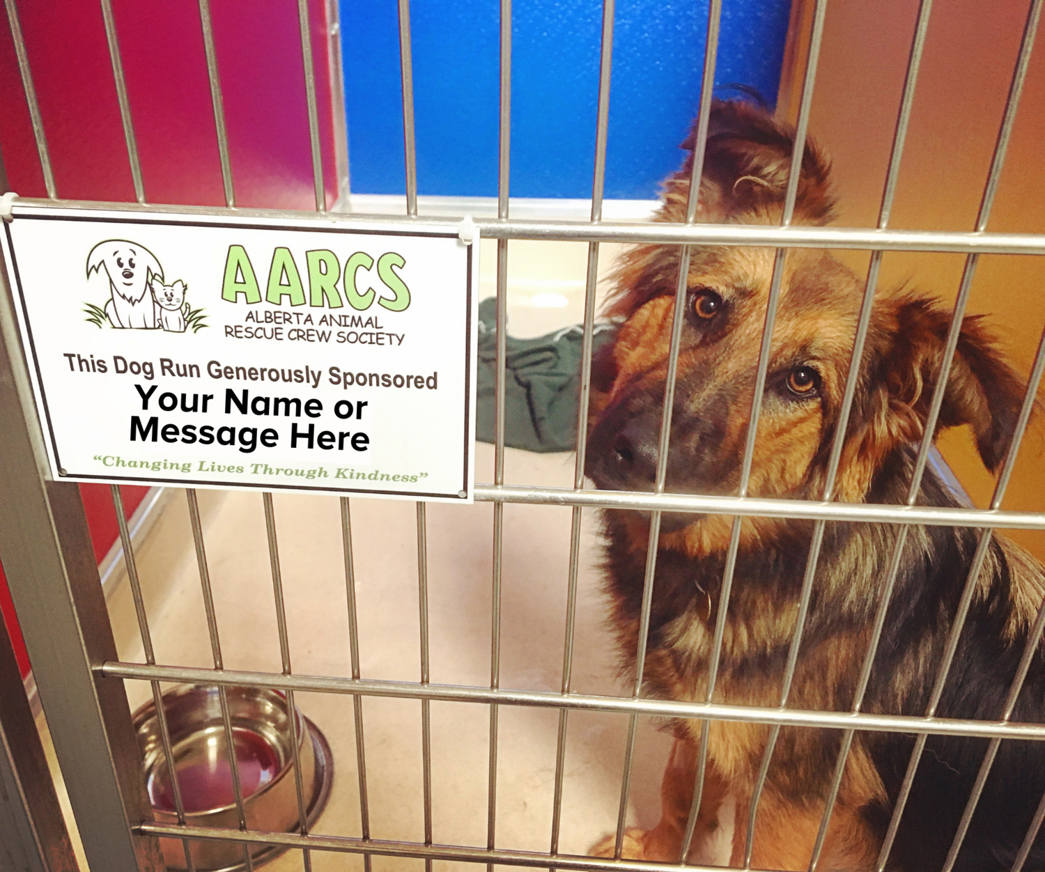 2025 Sponsorship – AARCS - Main Image