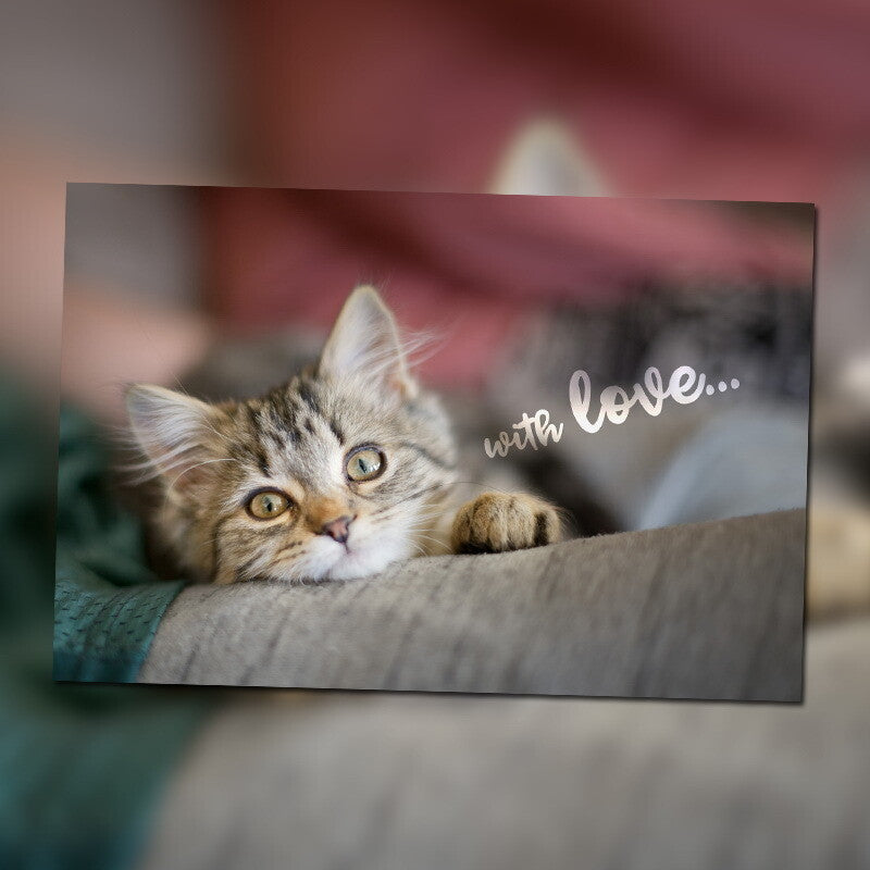 4" x 6" Blank Cards - 10 Pack