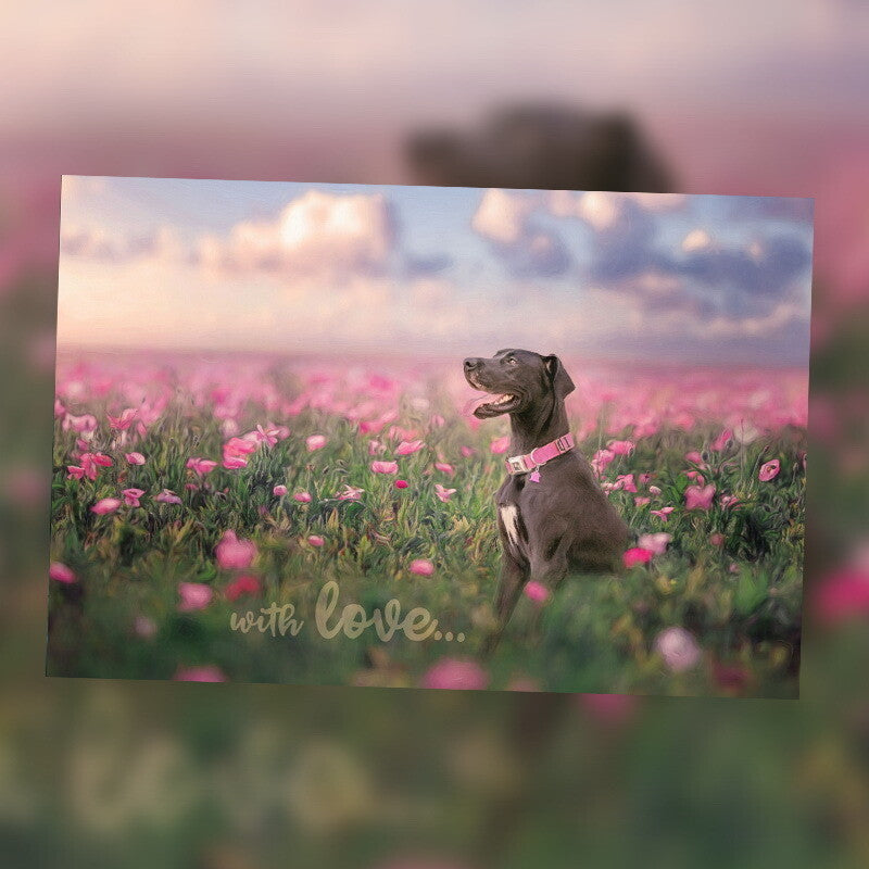 4" x 6" Blank Cards - 10 Pack