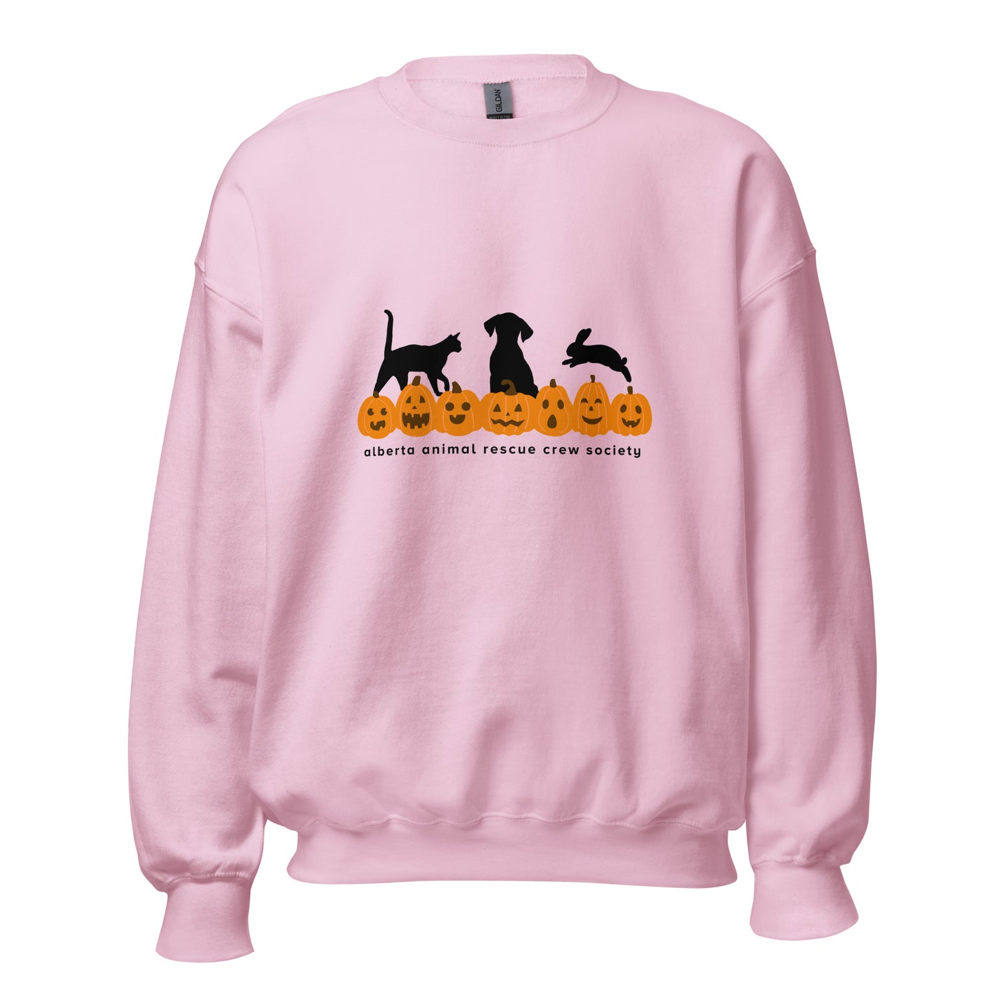 ONLINE ONLY! Pumpkin Sweatshirt