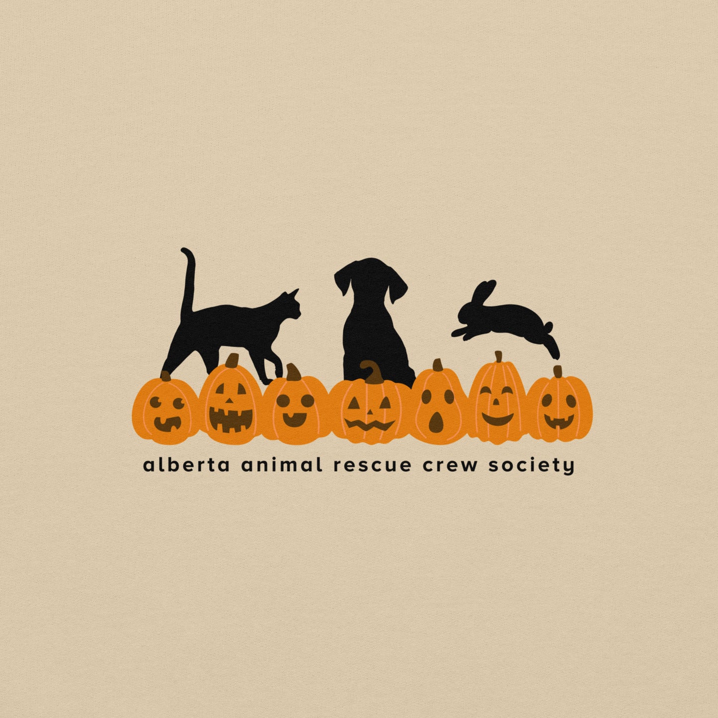 ONLINE ONLY! Pumpkin Sweatshirt