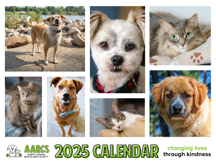 2025 AARCS Calendar