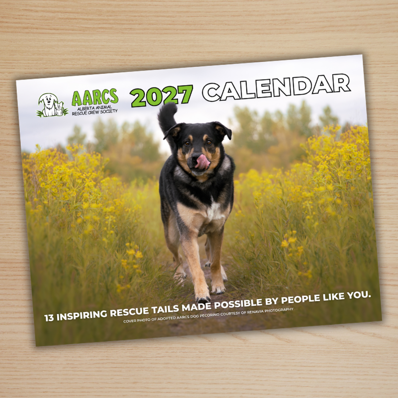 2027 AARCS Calendar