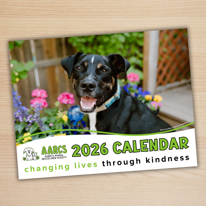 2026 AARCS Calendar