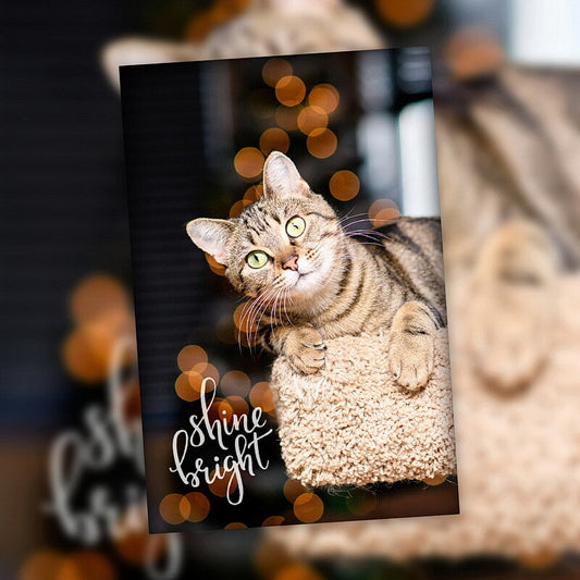 4" x 6" Holiday Cards - 10 Pack