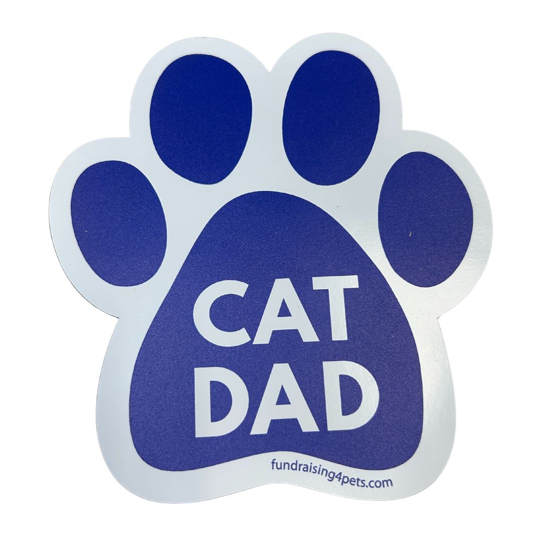 Magnets – AARCS - Main Image