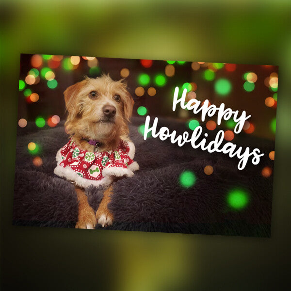 4" x 6" Holiday Cards - 10 Pack