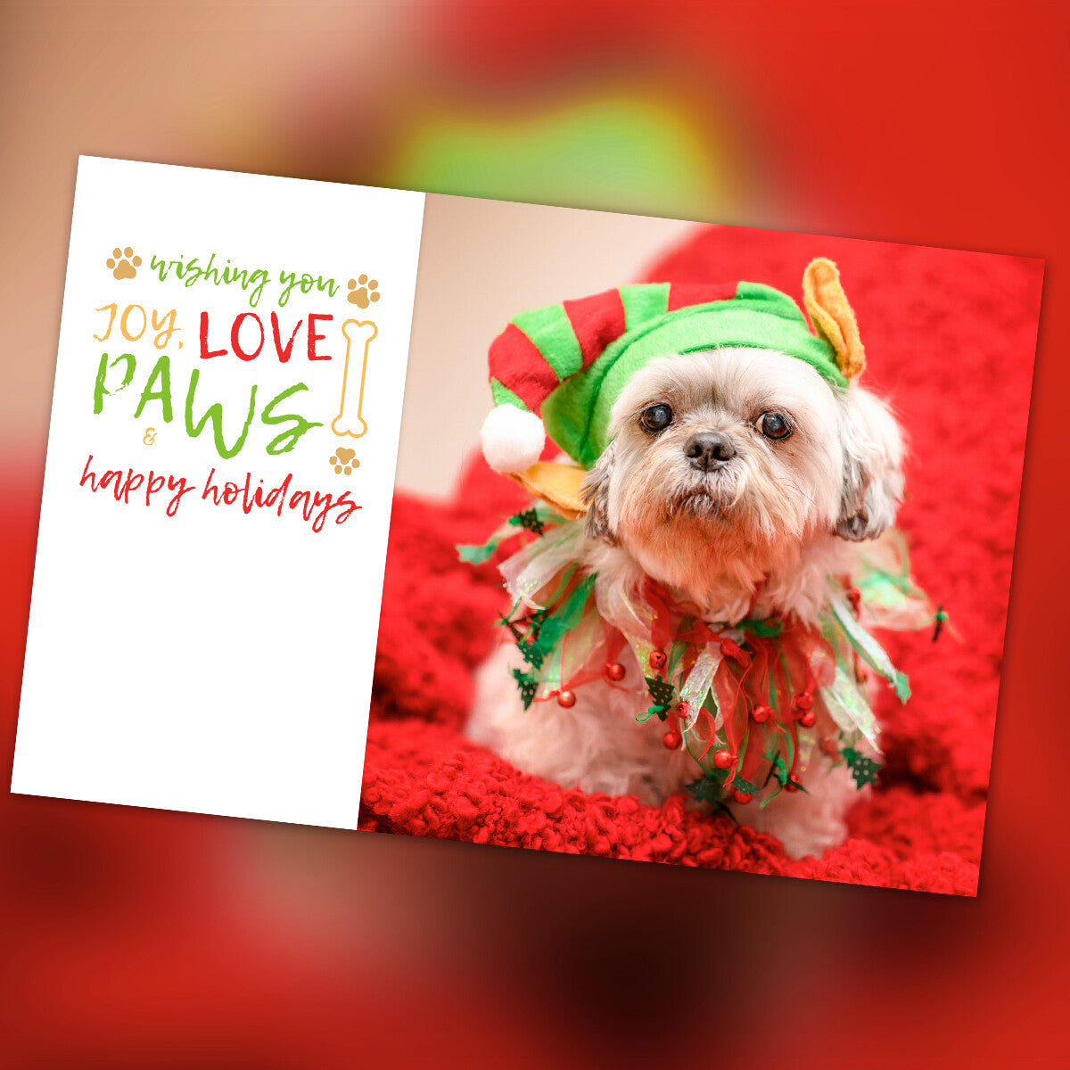 4" x 6" Holiday Cards - 10 Pack