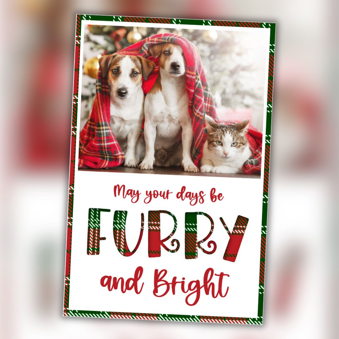 4" x 6" Holiday Cards - 10 Pack
