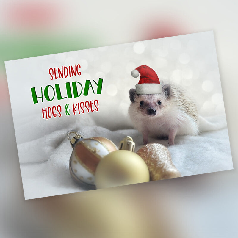 4" x 6" Holiday Cards - 10 Pack