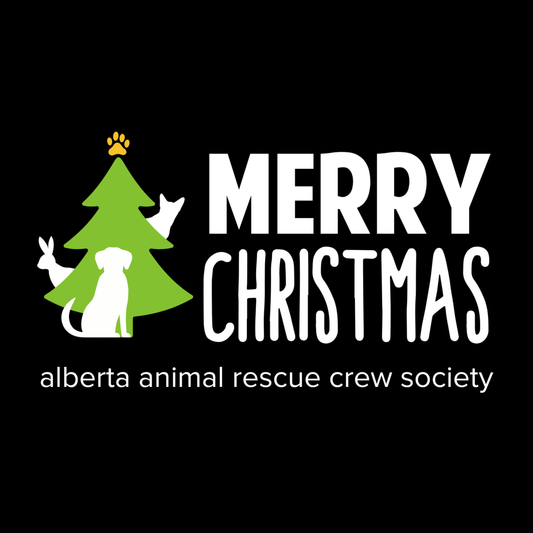 Merry Christmas Long Sleeve T-shirt (ONLINE ONLY)