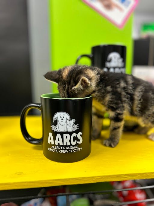 12oz AARCS Large Logo Mug