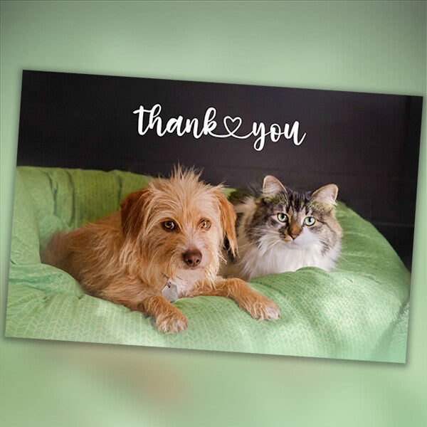 4" x 6" Thank You Cards - 10 Pack