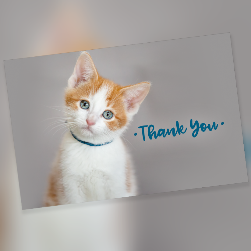 4" x 6" Thank You Cards - 10 Pack