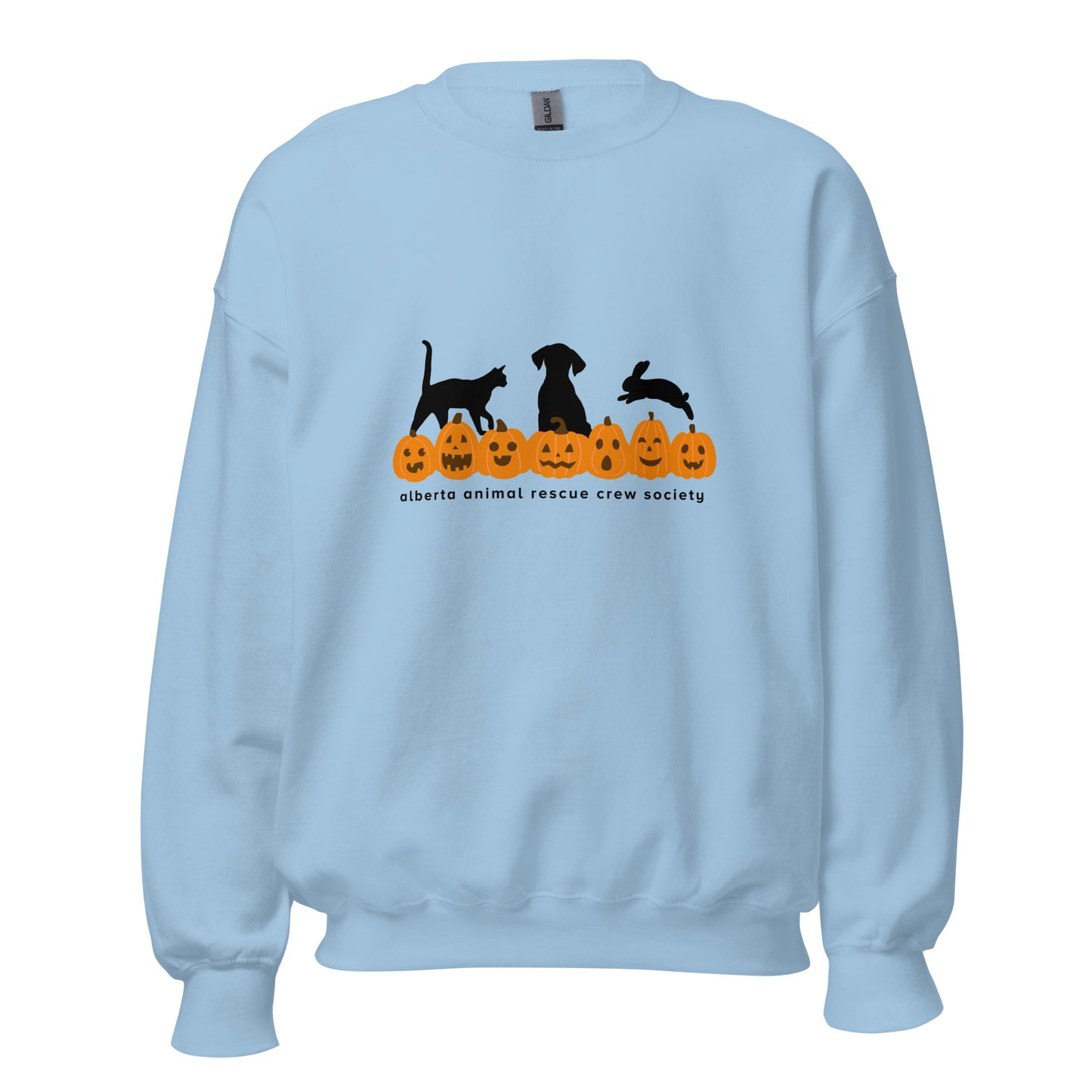ONLINE ONLY! Pumpkin Sweatshirt