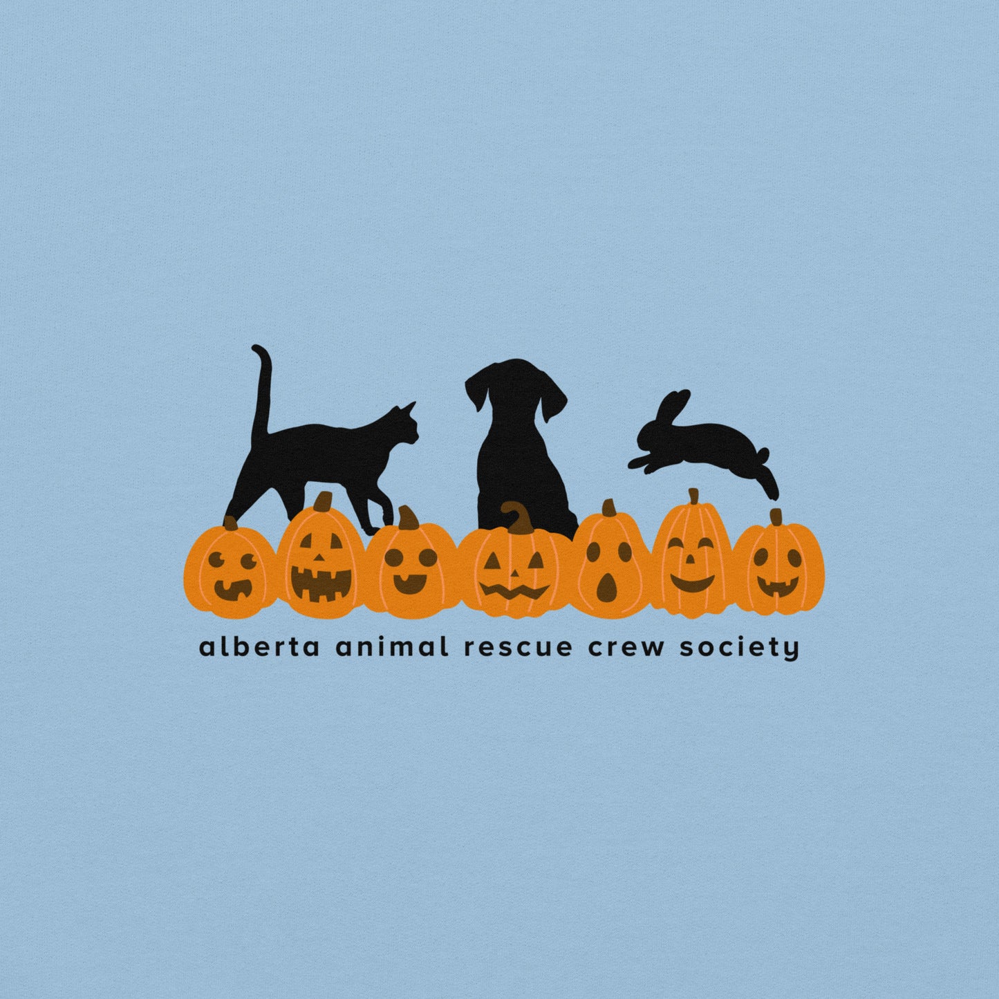 ONLINE ONLY! Pumpkin Sweatshirt