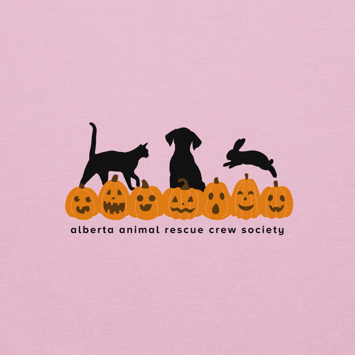 ONLINE ONLY! Pumpkin Sweatshirt