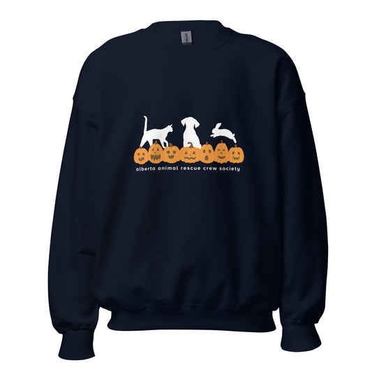 Pumpkin Sweatshirt - Available ONLINE or IN-STORE