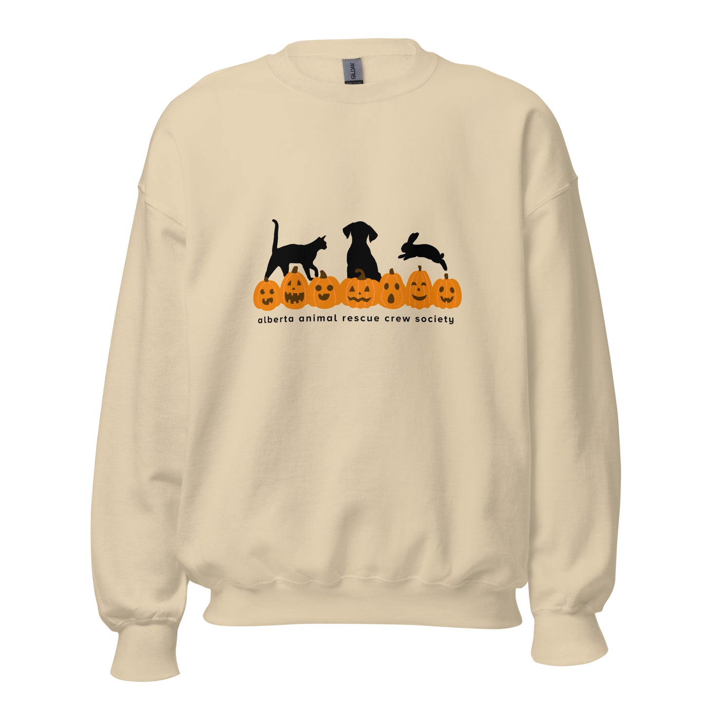 ONLINE ONLY! Pumpkin Sweatshirt