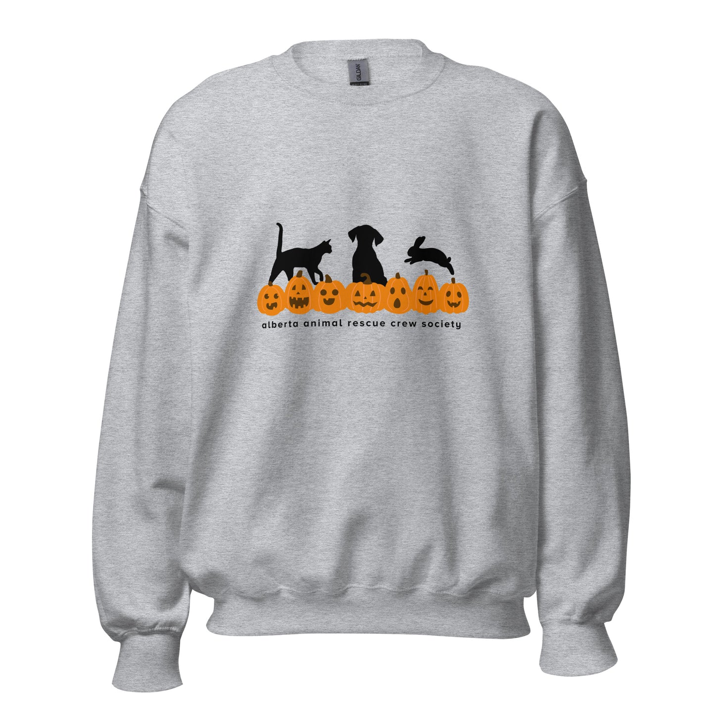 ONLINE ONLY! Pumpkin Sweatshirt