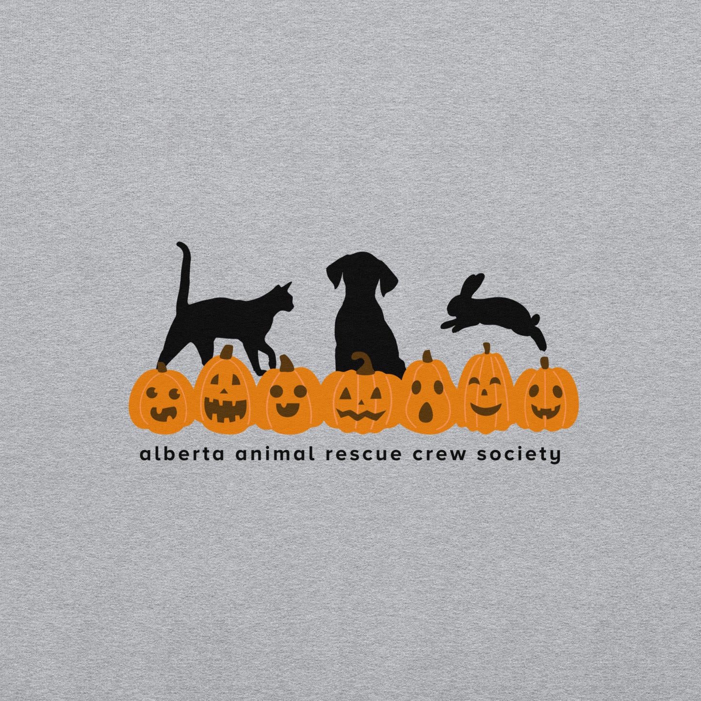ONLINE ONLY! Pumpkin Sweatshirt
